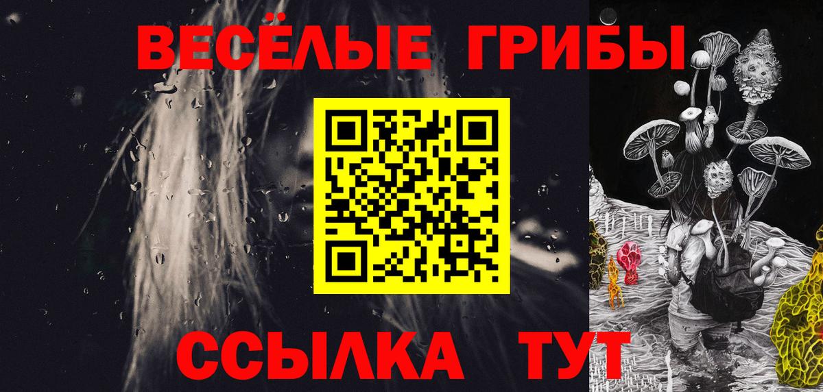 Галлюциногенные грибы прущие грибы Ржев