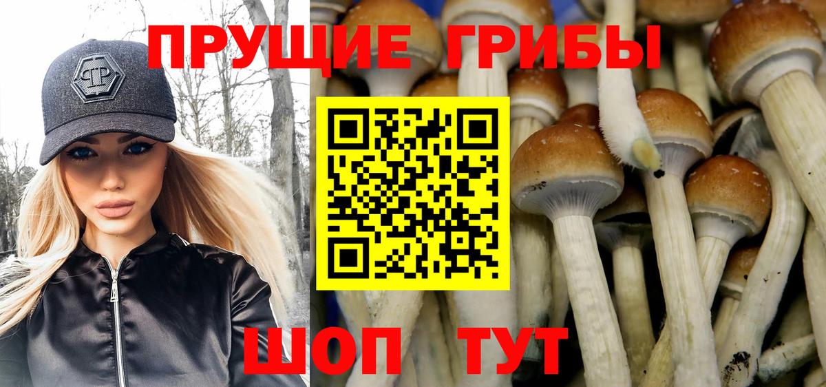 Псилоцибиновые грибы GOLDEN TEACHER  Псилоцибиновые грибы мицелий  Ржев  Вход с VPN 